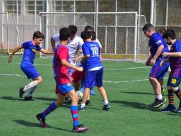MIS Sports